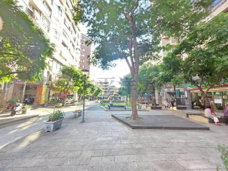 A052-窗外綠意盎然,新北市新莊區中安街