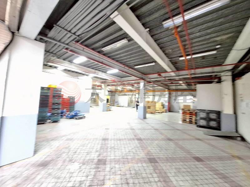 A038-新莊千坪級電梯企業總部廠房,新北市新莊區新樹路