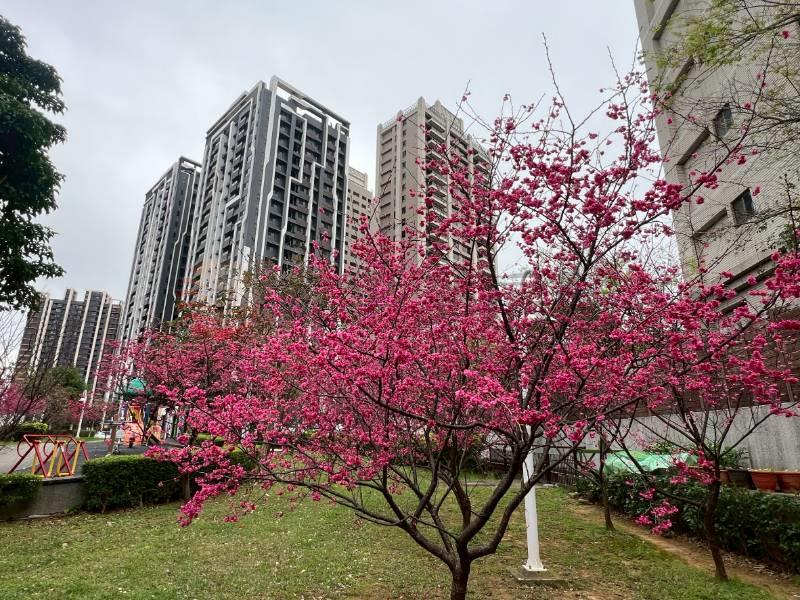 E005-桃園中路重劃區電梯兩房車位,桃園市桃園區吉安一街