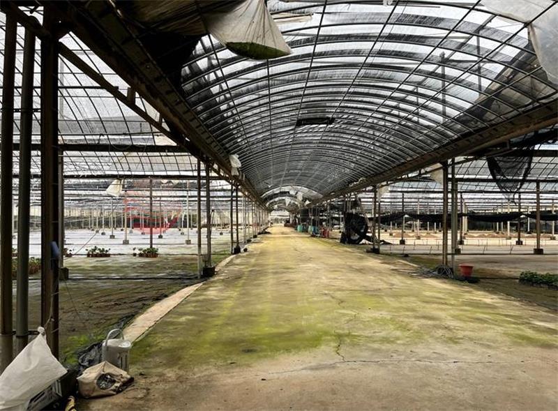 楊梅臨路溫室農牧用地,桃園市楊梅區下陰影窩段