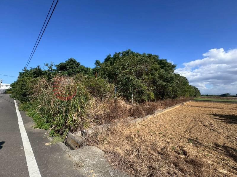 新屋雙面臨路農地（專約）,桃園市新屋區0