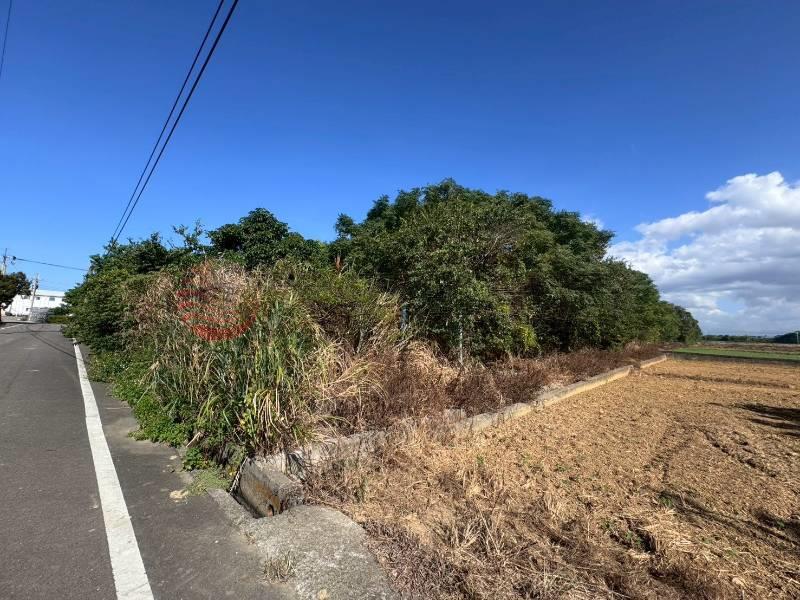 新屋雙面臨路農地（專約）,桃園市新屋區0