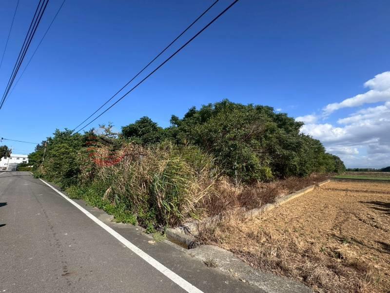 新屋雙面臨路農地（專約）,桃園市新屋區0