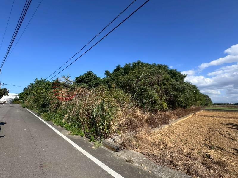 新屋雙面臨路農地（專約）,桃園市新屋區0