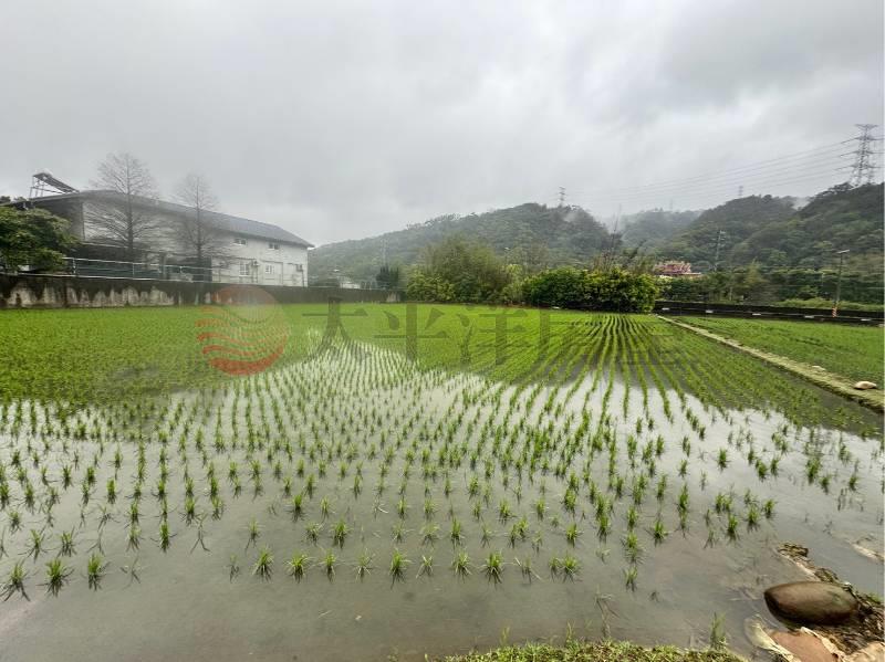新竹新埔新北段優質農地,新竹縣新埔鎮新北段