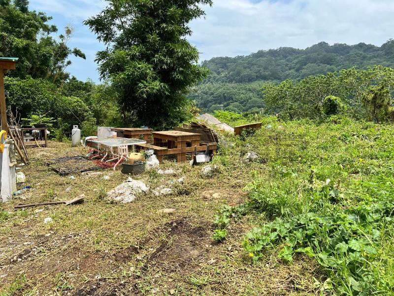 D010-林口保護區農地,新北市林口區瑞平段