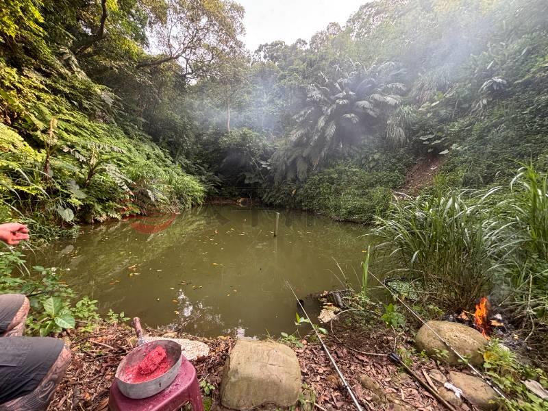 D010-林口保護區農地,新北市林口區瑞平段