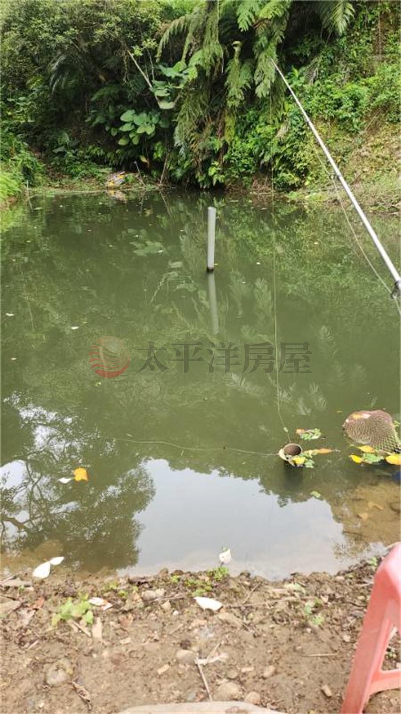 D010-林口保護區農地,新北市林口區瑞平段