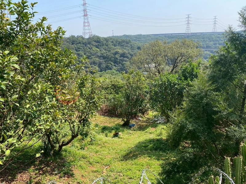 D012-專任 蘆竹赤塗段農業用地,桃園市蘆竹區赤塗段