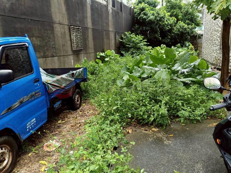 新莊新樹路建地,新北市新莊區新樹段