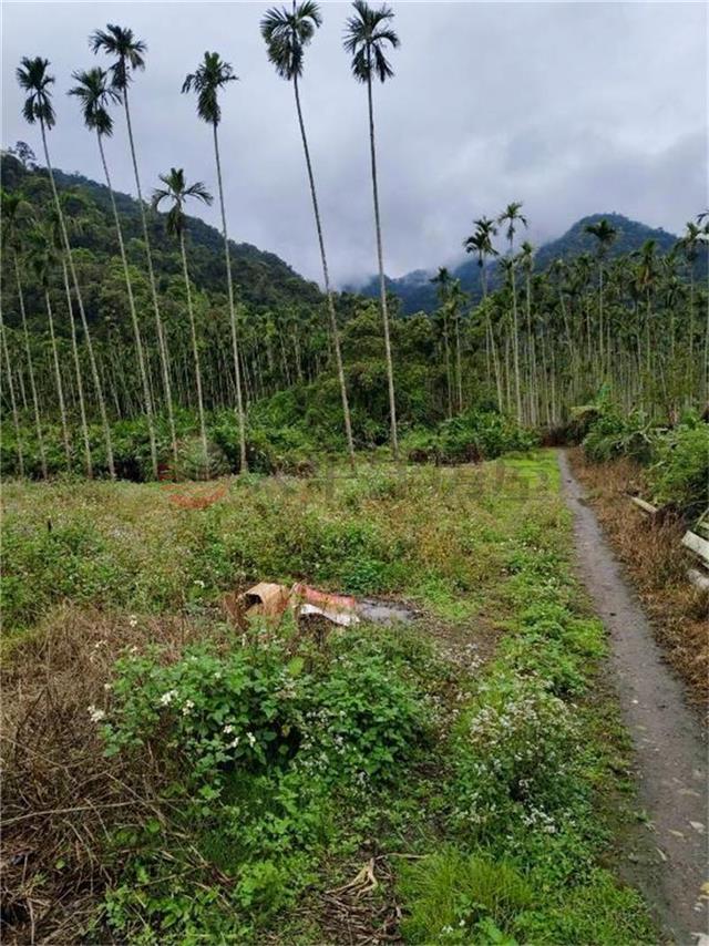 D024-宜蘭好山好水好農地PART 1,宜蘭縣員山鄉粗坑段