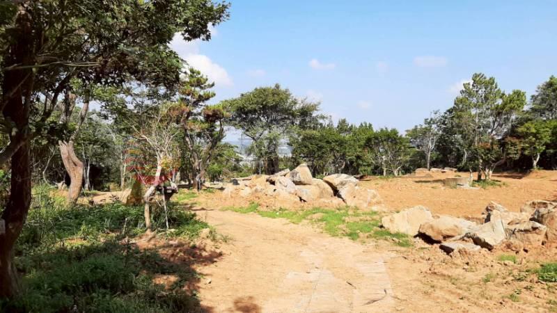 D027-墨硯山360度景觀農地,苗栗縣公館鄉尖山段