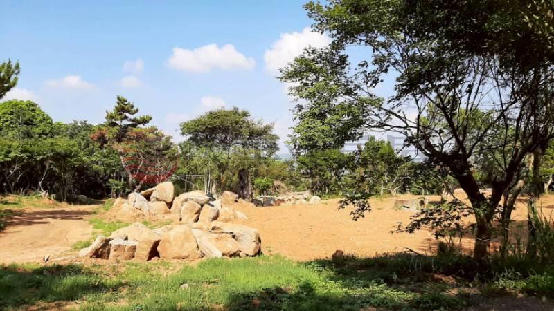 D027-墨硯山360度景觀農地,苗栗縣公館鄉尖山段