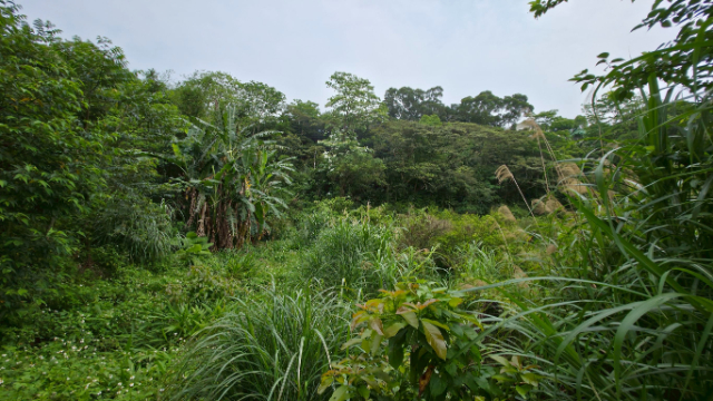 D030-桃園龜山保護區土地,桃園市龜山區楓義段