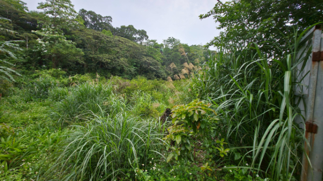 D030-桃園龜山保護區土地,桃園市龜山區楓義段