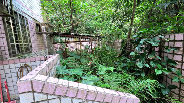 A16龜山公寓1、2樓雙層使用,桃園市龜山區幸美街